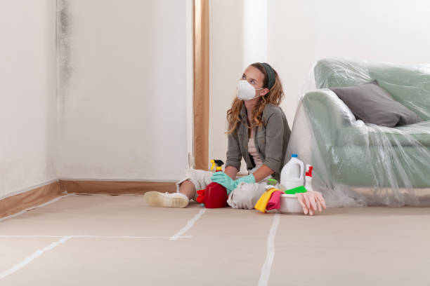 Reliable Commercial Mold Remediation contractor in Long Lake, IL by Mold Remediation HQ